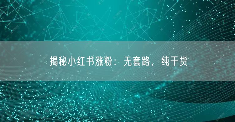 揭秘小红书涨粉：无套路，纯干货