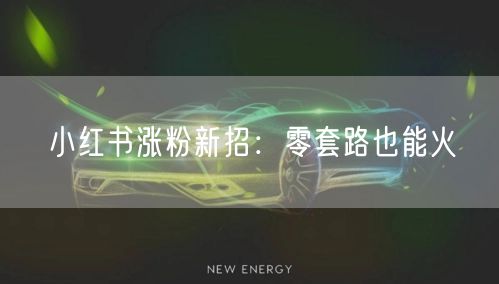小红书涨粉新招：零套路也能火