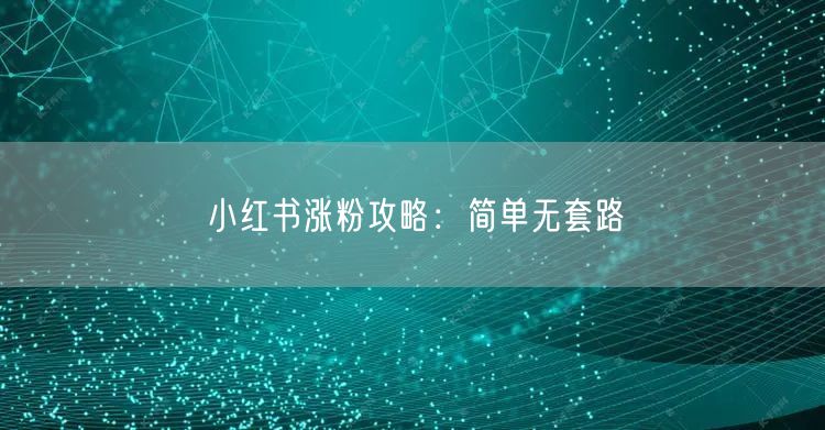 小红书涨粉攻略：简单无套路