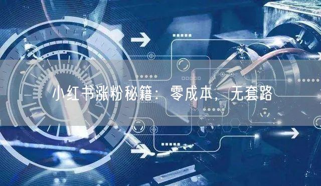小红书涨粉秘籍：零成本，无套路