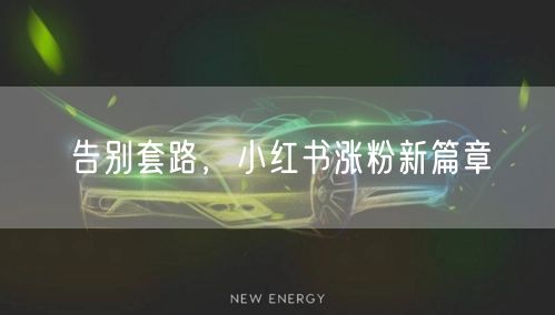 告别套路，小红书涨粉新篇章