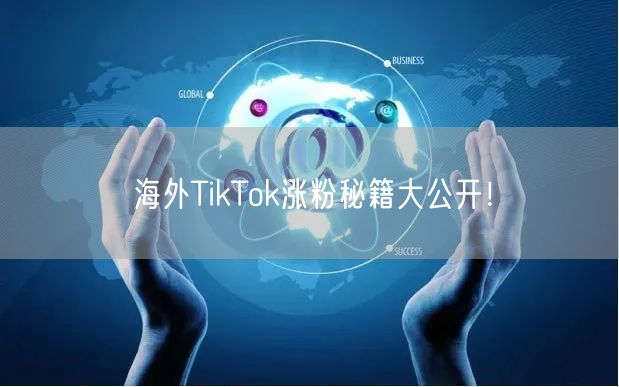 海外TikTok涨粉秘籍大公开！